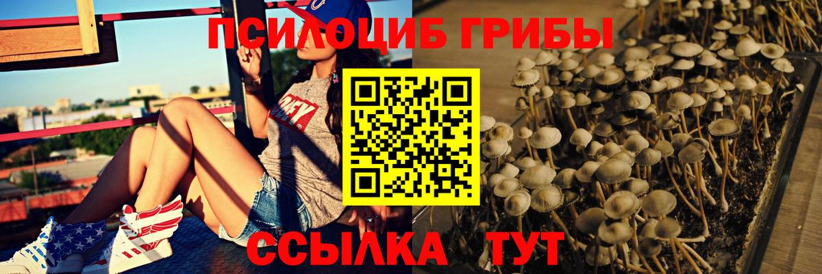 Псилоцибиновые грибы мицелий Великие Луки